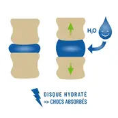 Effet d’hydratation des disques lombaires entre les vertèbres lombaires