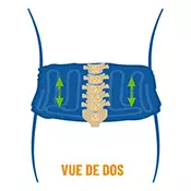 Effet de décompression sur le nerf crural par étirement vertical lombaire en L3 L4 L5