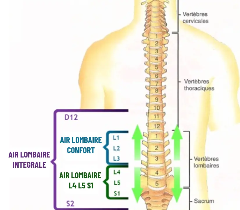 question-ceinture-lombaire