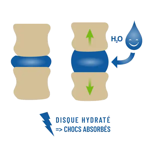 Effet d’hydratation des disques lombaires entre les vertèbres lombaires