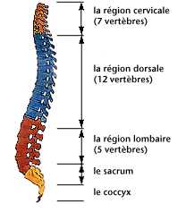 Soulager le Pincement Discal