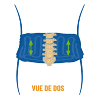 Effet de décompression sur le nerf sciatique par étirement vertical de la colonne vertébrale lombaire